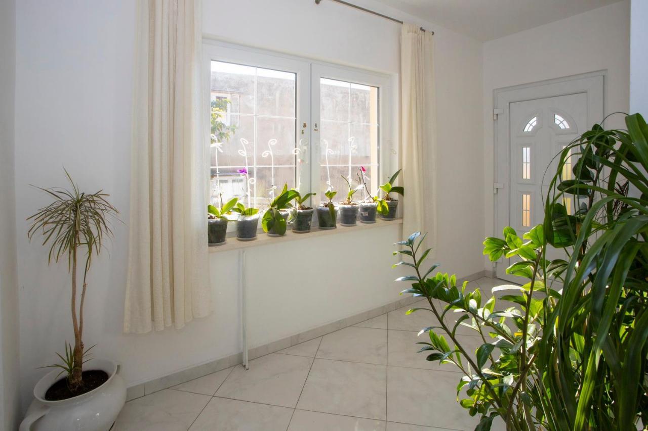 Villa Milenka - Apartmani Gorana Tučepi Esterno foto
